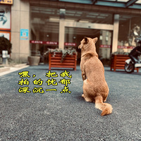 һ�������ճ�