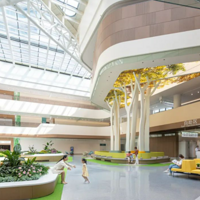 Ժûôѣ˿ҽԺҽơ롱