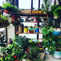 װαҴ+죡ɹɹĻ+ůļ