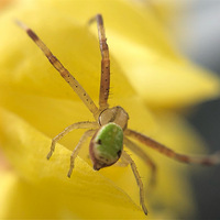 �������»�ůլ��һ�������ĳ��ӣ���ʼ��Ծ����