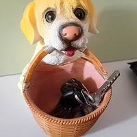 װαš+2022ҾֵƼ+ʵò