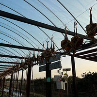 ���޺�ȥ��-��ҵ�����ũׯҲ����Ŷ