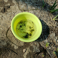 �������£�Ұ��������һ��