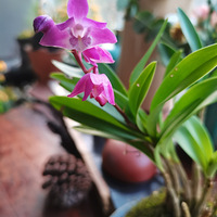 װαҴ+죡ɹɹĻ+̨ͩ