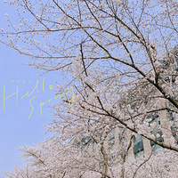 ����������ӣ�أ������յ��˺öడ��