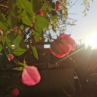 װαҴ+죡ɹɹĻ+ӼҸ㻨