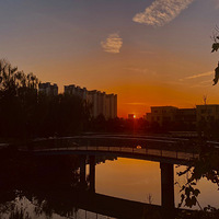 2021��ļ���