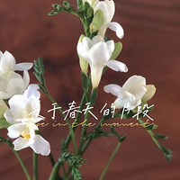 װαҴ죡ɹɹĻɫϵĻٴ