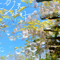 ���Ϲ۾� | ��ɫ��԰�ز�ס��������ȥ�����~