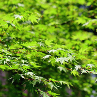 ?��ɫ���飬���뱣��