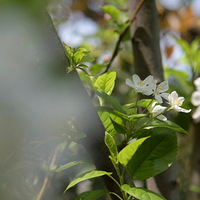 ��������������е�������