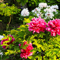 ����֮���͵��ؿ�