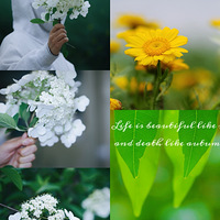 ������¶��Ǵ���