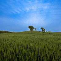 �ѷ�������Լ�����ҾͰ�ɽ��������������