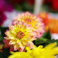 �л����þƣ����²���¥������ͨ�����һ����ǧ�