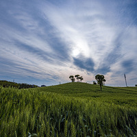 ����������