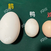 ߺ��һ���Լҵĵ�