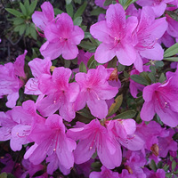 ������һ�ģ���ס22��Ĵ���