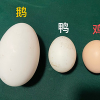 ߺ��һ���Լ��ĵ�