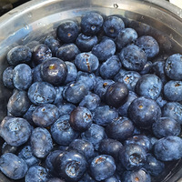 ������լ�ҳ����㡿�ڼҾ���ʵ������������������