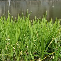 ���ֲ�ԭ�����ܿ����ģ�