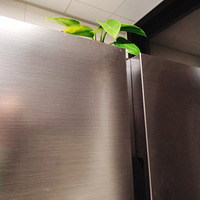 װαҴ+ɹɹҵı+ı