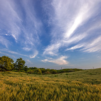 ���ӿ����ˣ��ٲ�ȥ����Ҫʰ������