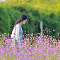 ���ĺδ��޷��ݣ���������Ĵ��ң�����תͷ�Ͻ���