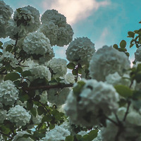 ���졫��չ