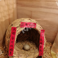 ��û����«������С�ɰ�ѽ