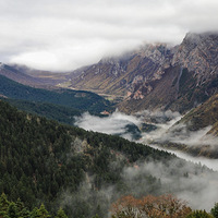 ����ӡ��  2021��ʮ�¸��ϡ��������ģ�