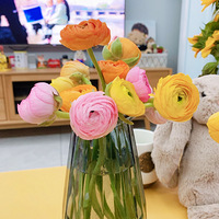 �Һ��ҵĻ������磡��ƴ���Ͷ�����̫������~