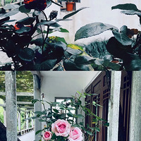 ���ĵĹ⾰������Ļ����ñȴ��컹�ÿ�~��ȥ������....