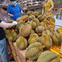 19.8/������̲�ס�������ˡ�����