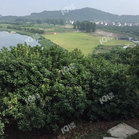 ������ɽ��÷�������У�