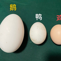 ߺ��һ���Լҵĵ�