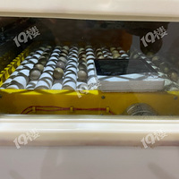 �Լ����˼���«������̫�������˹�����