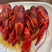 һ���Լ۱ȳ��ߵļҳ��в����Ƽ�