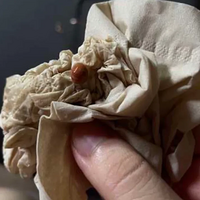 �����������������˱�����С����������ȥ���Ƕ�ħ��