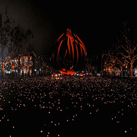 �Ϻ��ߵ�ҹ��