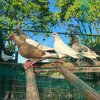 ȥ����۲�Ҳ��һ��������ѡ��