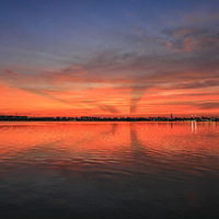 ��ϼ�ƻ�Ⱦ�����