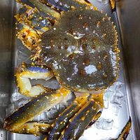 ����з���Ǵ�