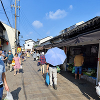 ������ʳ�ֲ�֮���ݵ�����