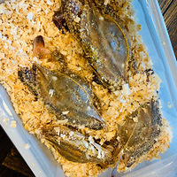 �ֵ�һ������з�����ʷʵģ��ɿɰ������ó�...