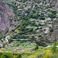 �Ĺ���ɽ  2021��ʮ�¸��ϴ�����ʮ��