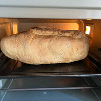 ץס�����β�ͣ���һ����Ҷ�л���