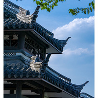 ����40�ȸ���ɨ��