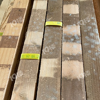 *гչ**ףԴγãǿǿСģ