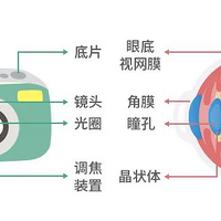 �������ϻ�������������ָ���������ƪ��������һ���Խ��